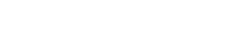 DigizoneLabs — Custom software development company
